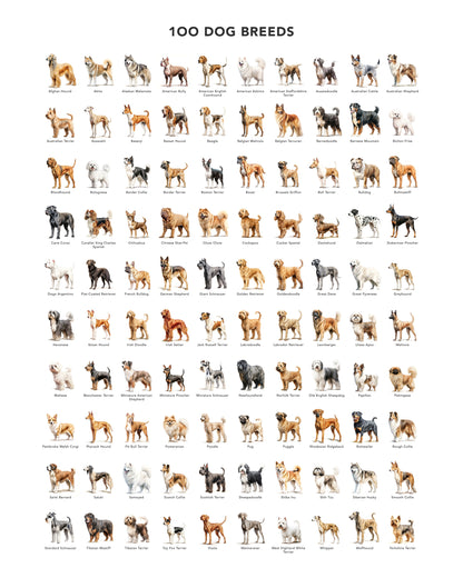 100 Dog Breeds