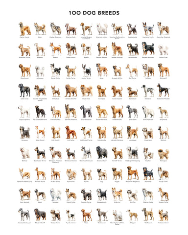 100 Dog Breeds