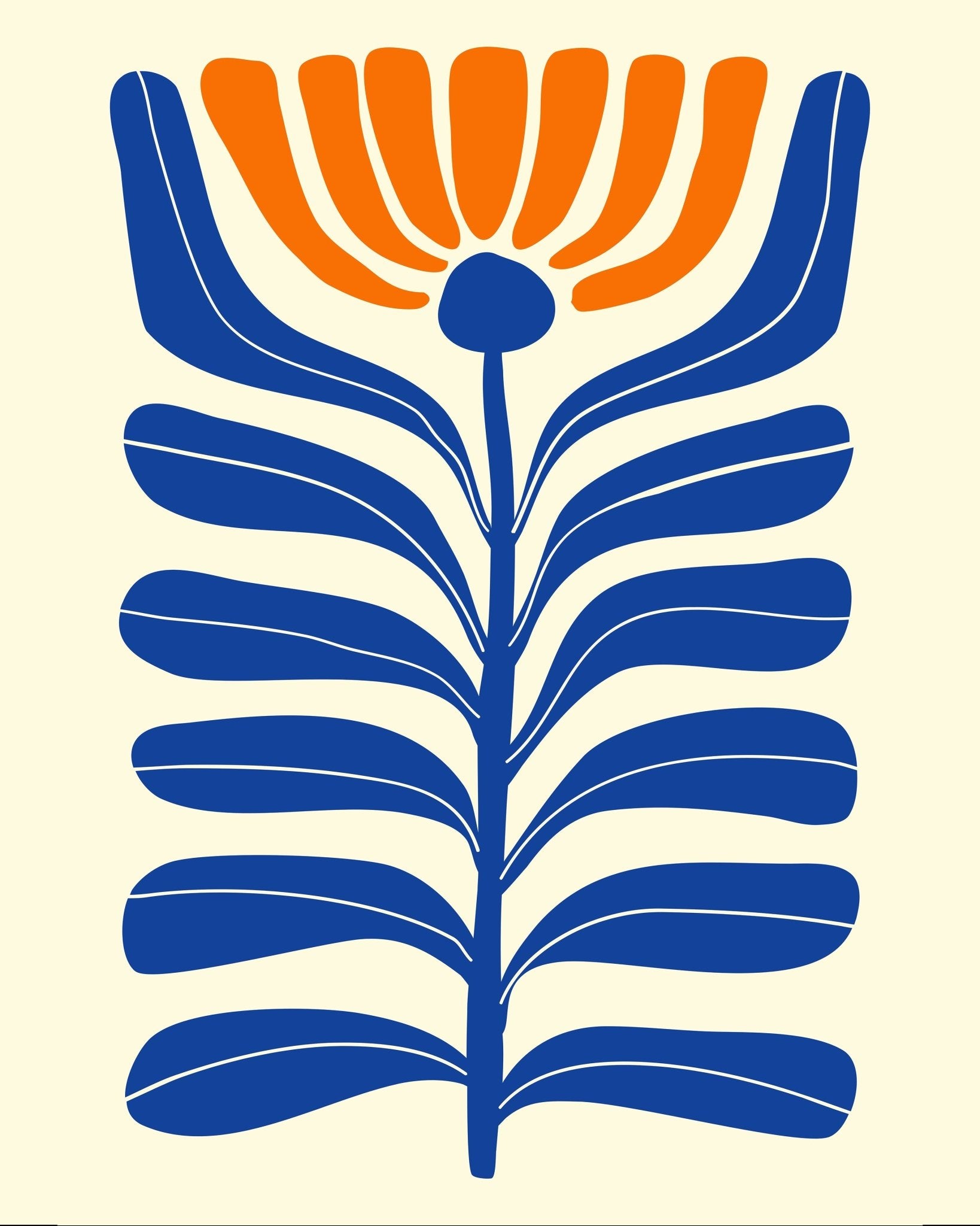Orange Blossom