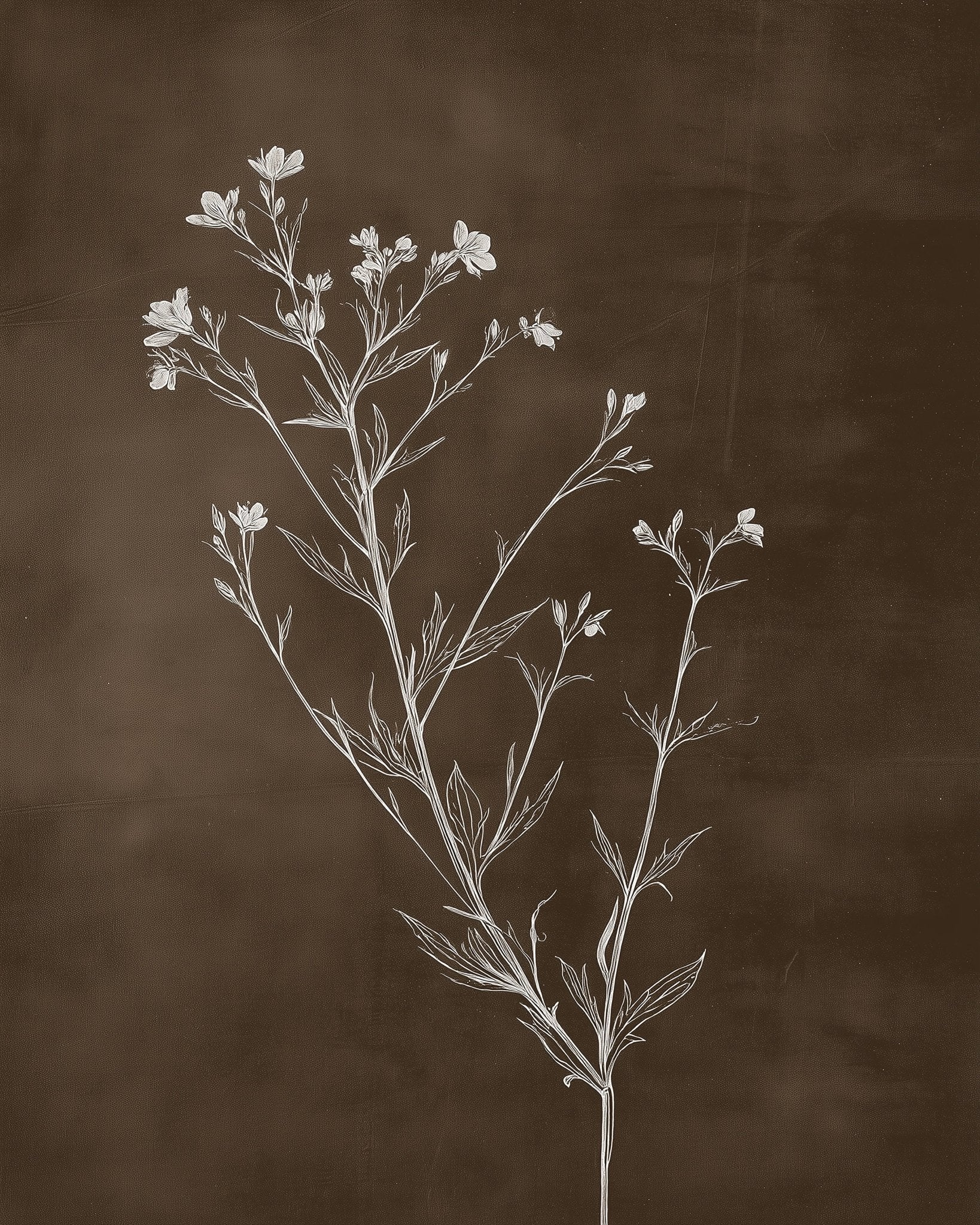 Baby's Breath Flower