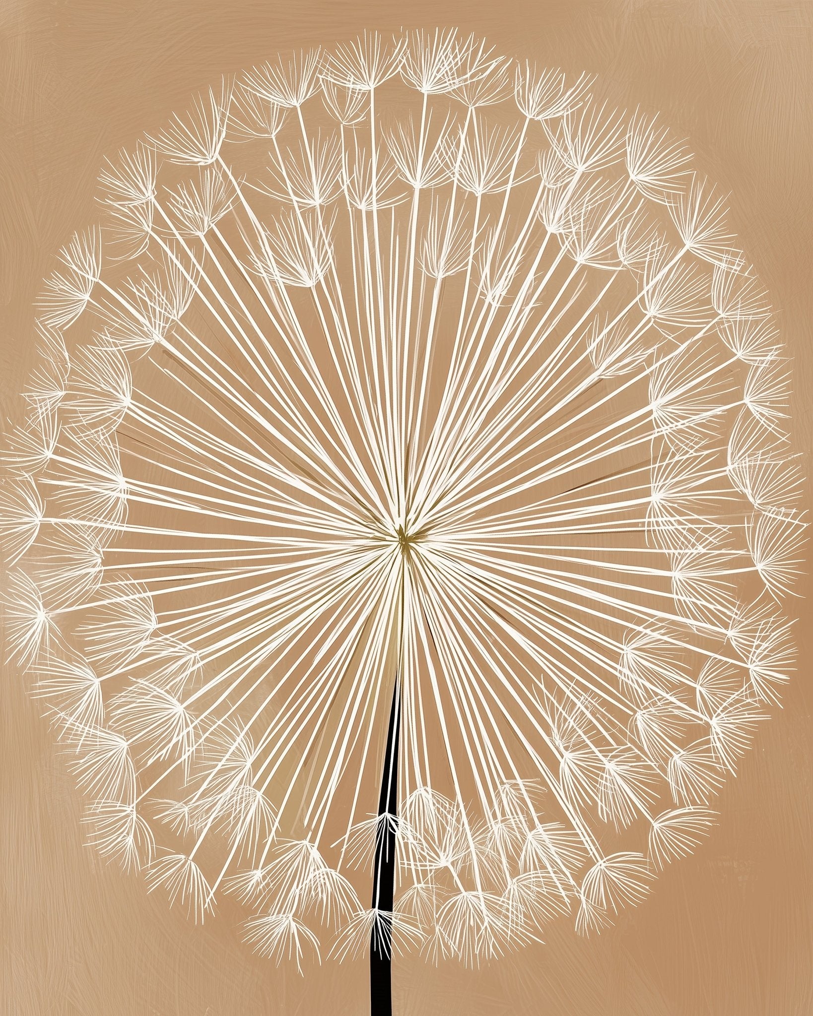 Dandelion Seed Head