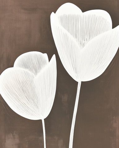 White Tulips