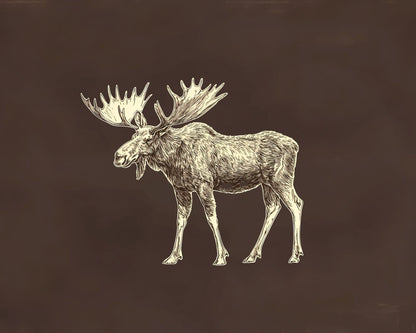Moose Drawing