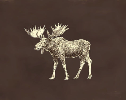 Moose Drawing