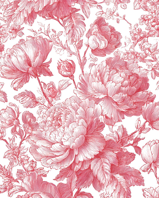 Pink Peony Pattern