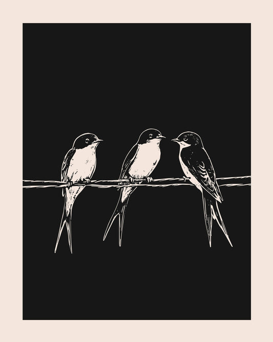 Swallows on Wires