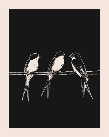 Swallows on Wires
