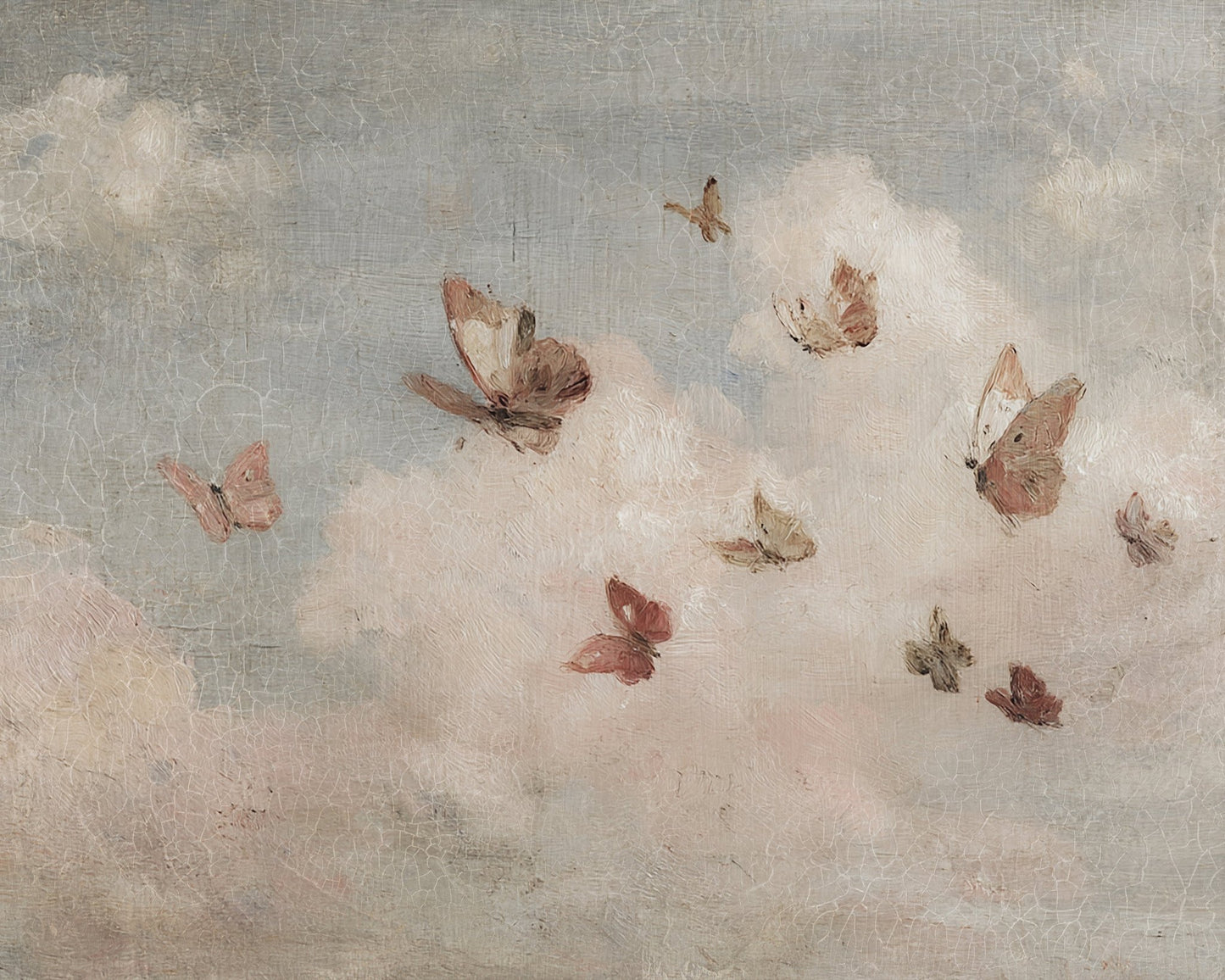 Butterflies & Cloud