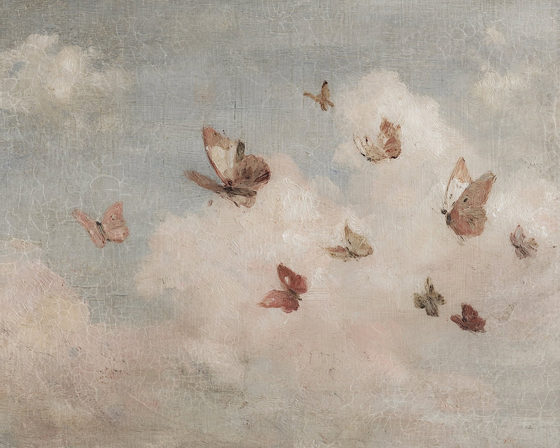 Butterflies & Cloud