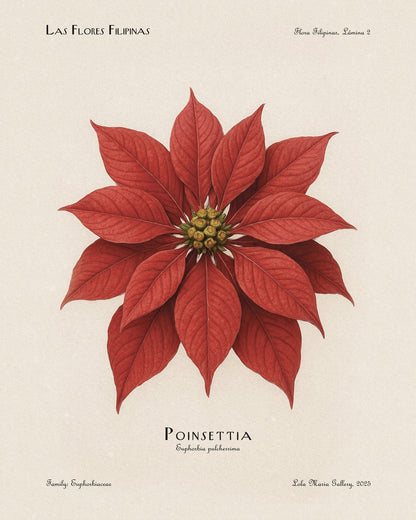 Poinsettia Flower