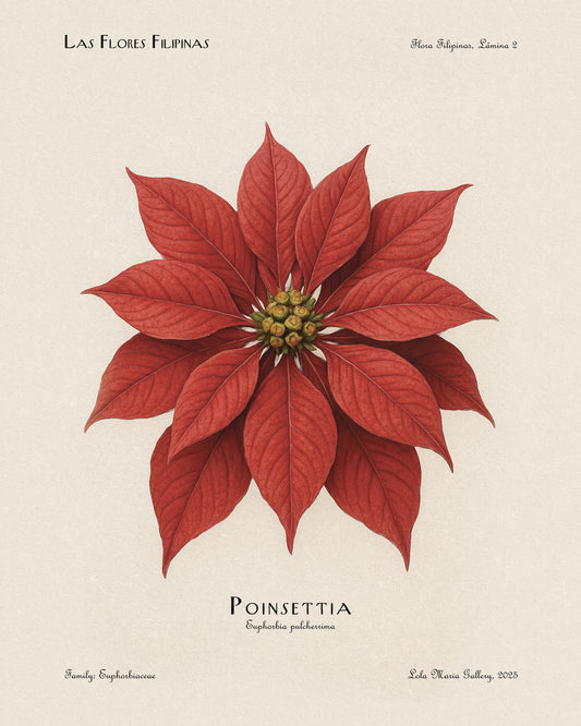 Poinsettia Flower