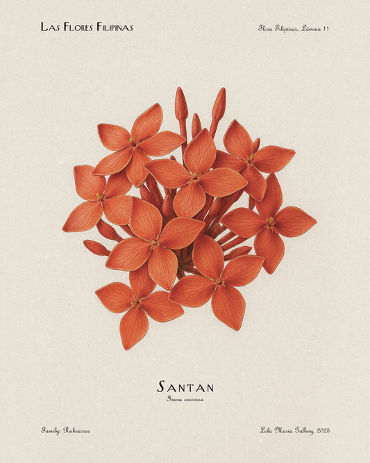 Santan Flower