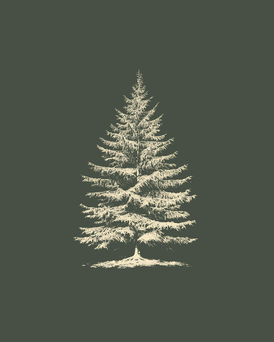 Evergreen Christmas Tree