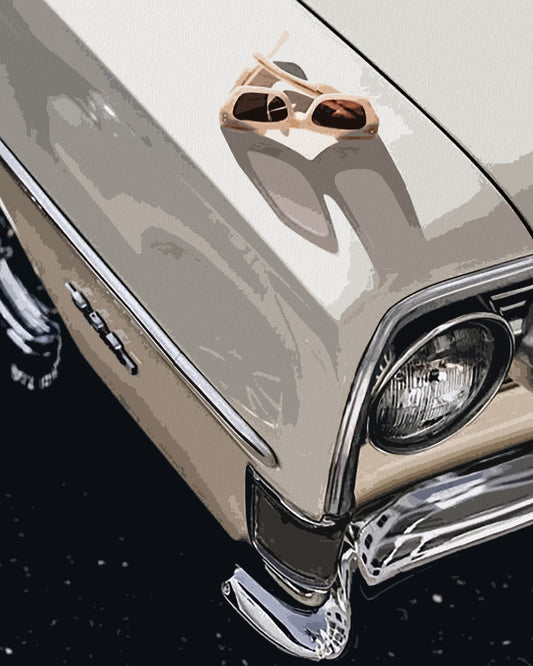 Sunglasses on Car Hood