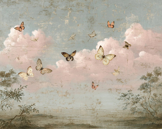 Butterflies & Cloud NO2