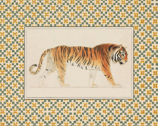 Pacing Tiger