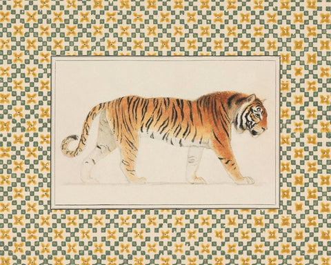 Pacing Tiger