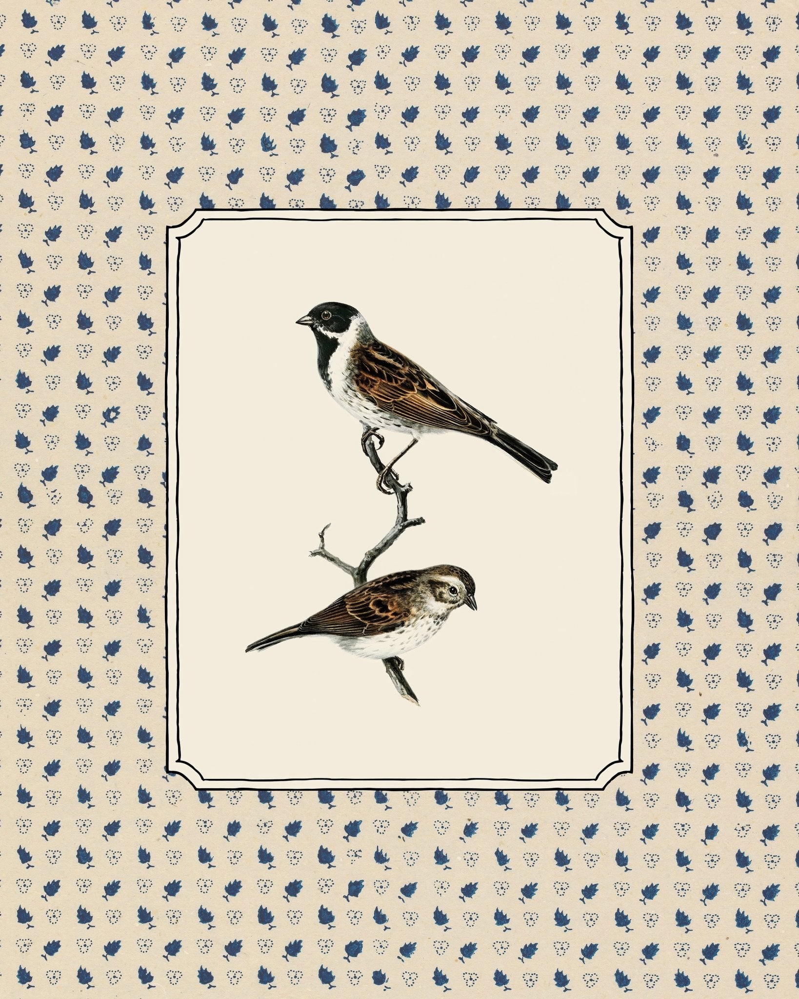 Swedish Birds