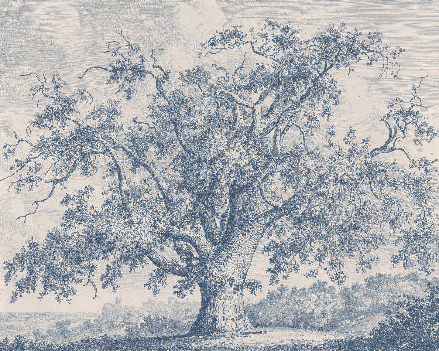 The Tutbury Wych-Elm