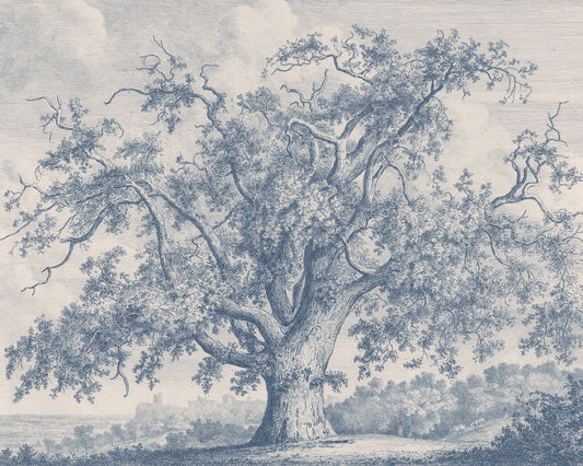 The Tutbury Wych-Elm