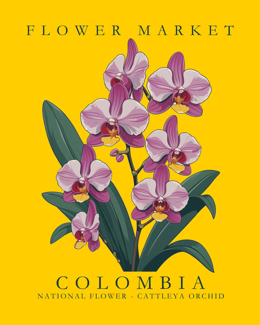 Colombia Flower Market