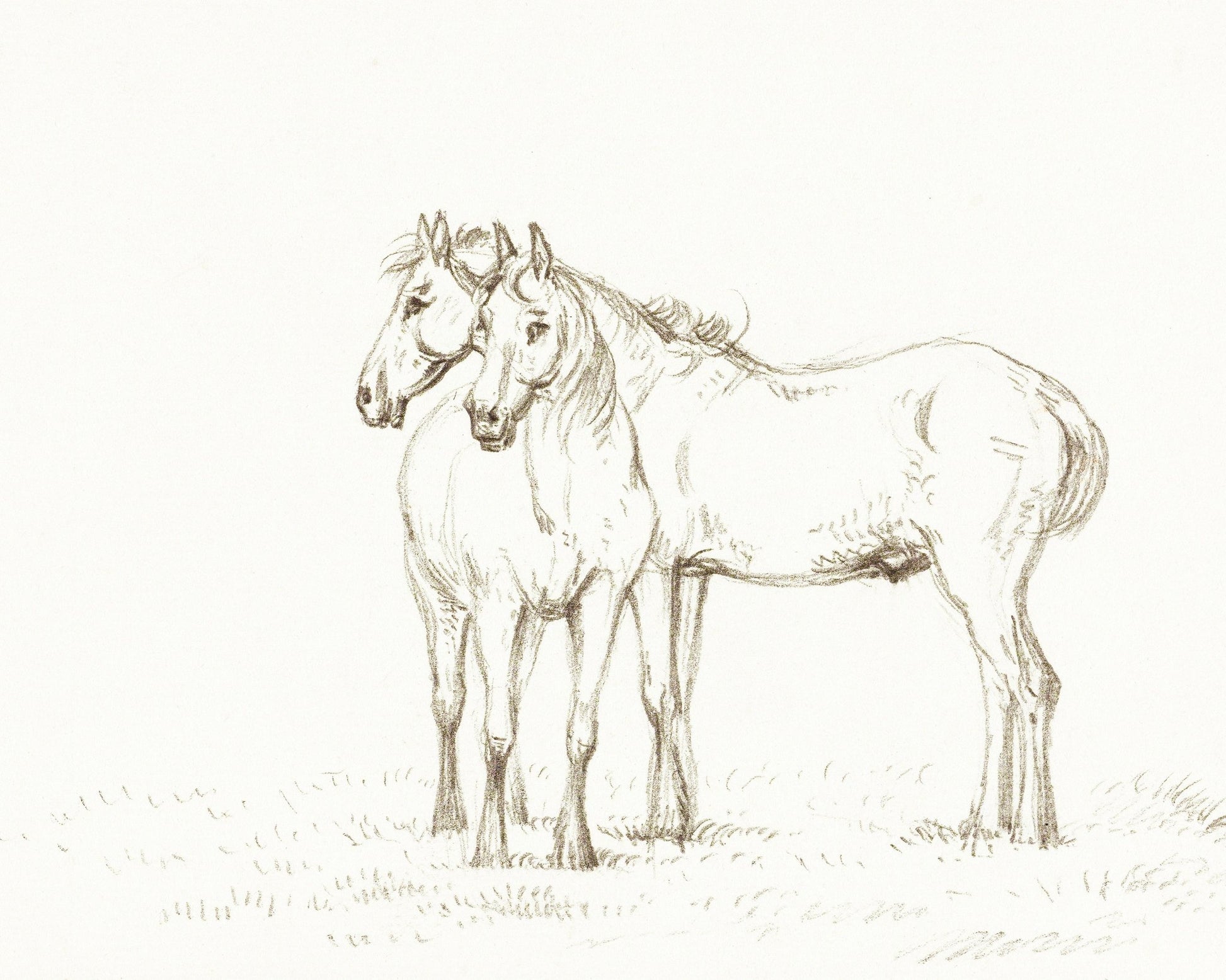 Two Horses