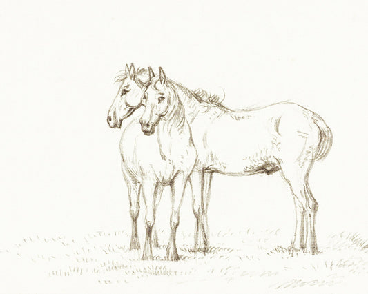 Two Horses