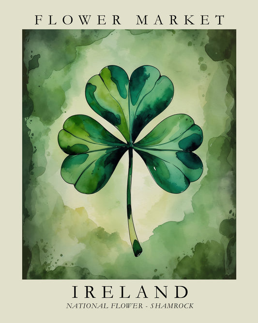 Ireland Flower Market