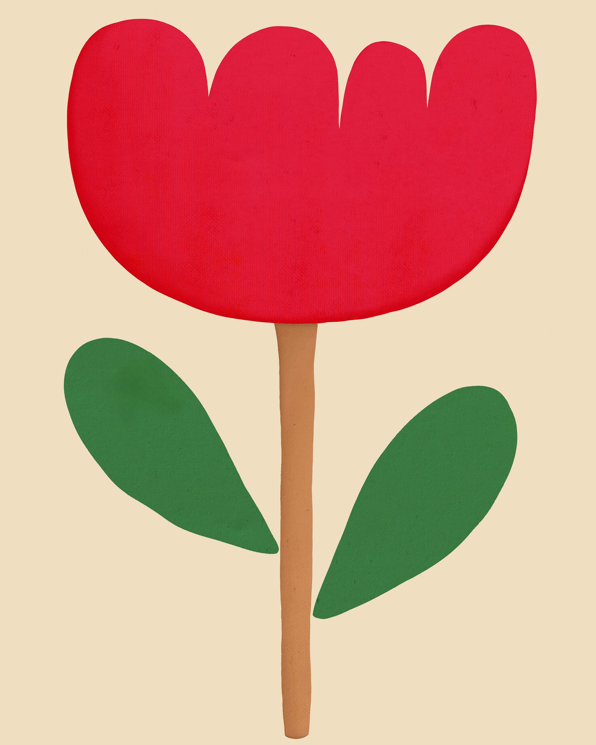 Tulip Illustration