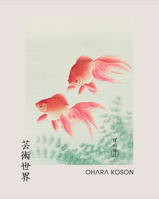 Two Koi Fish