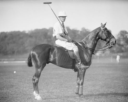 A Polo Player