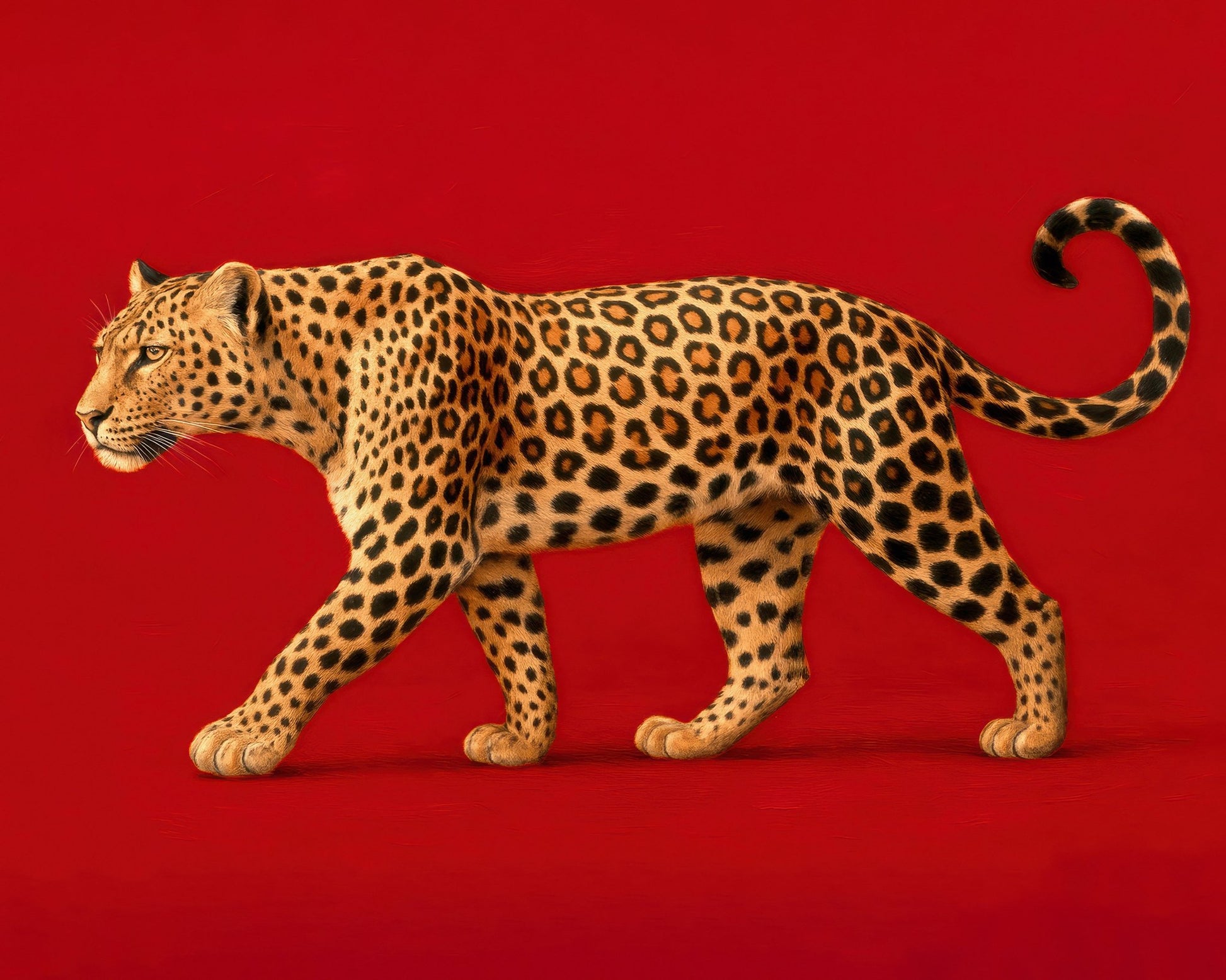 Walking Leopard