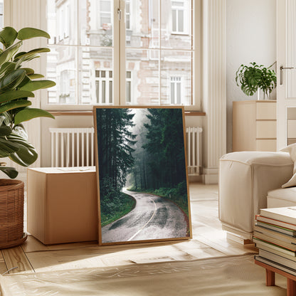 Road Through A Misty Forest