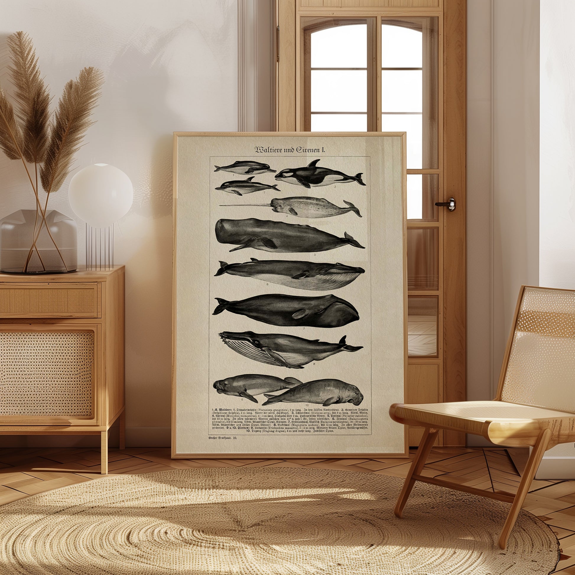 Whales and Sirenians I