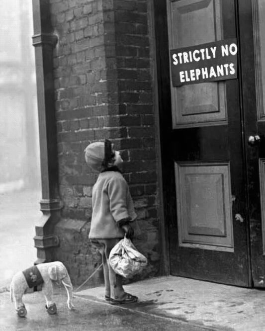 Strictly No Elephants