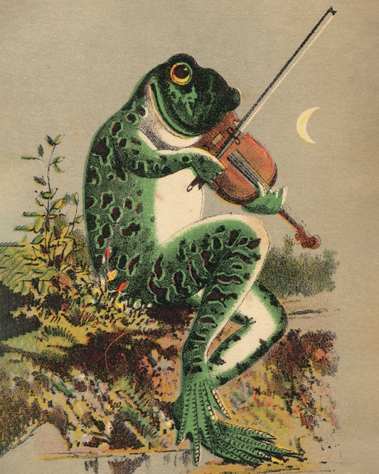 Frog Playing Violin
