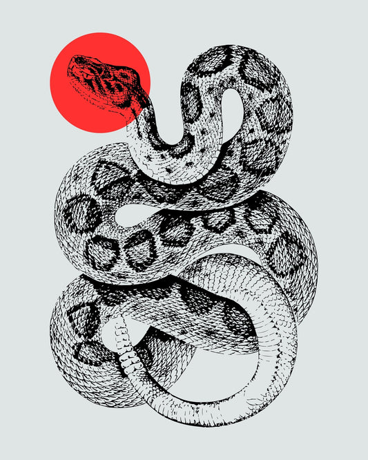 Snake Drawing