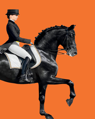 Equestrian on Black Horse