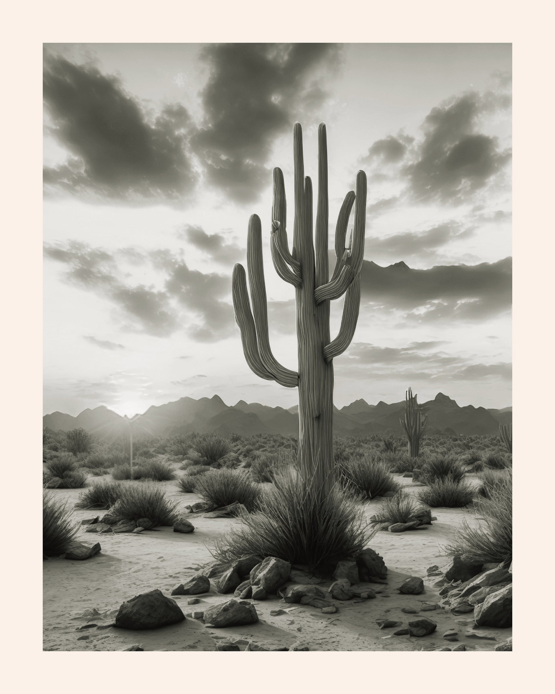 Texas Giant Desert Cactus