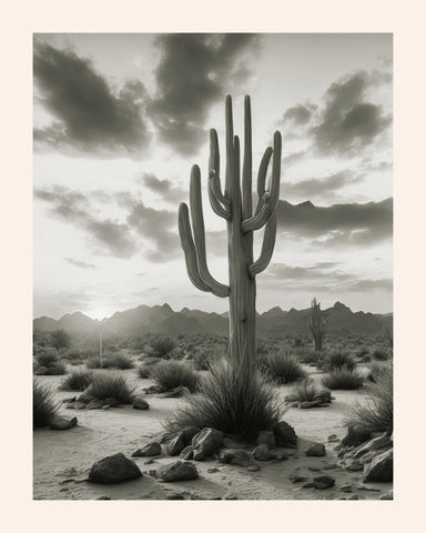 Texas Giant Desert Cactus
