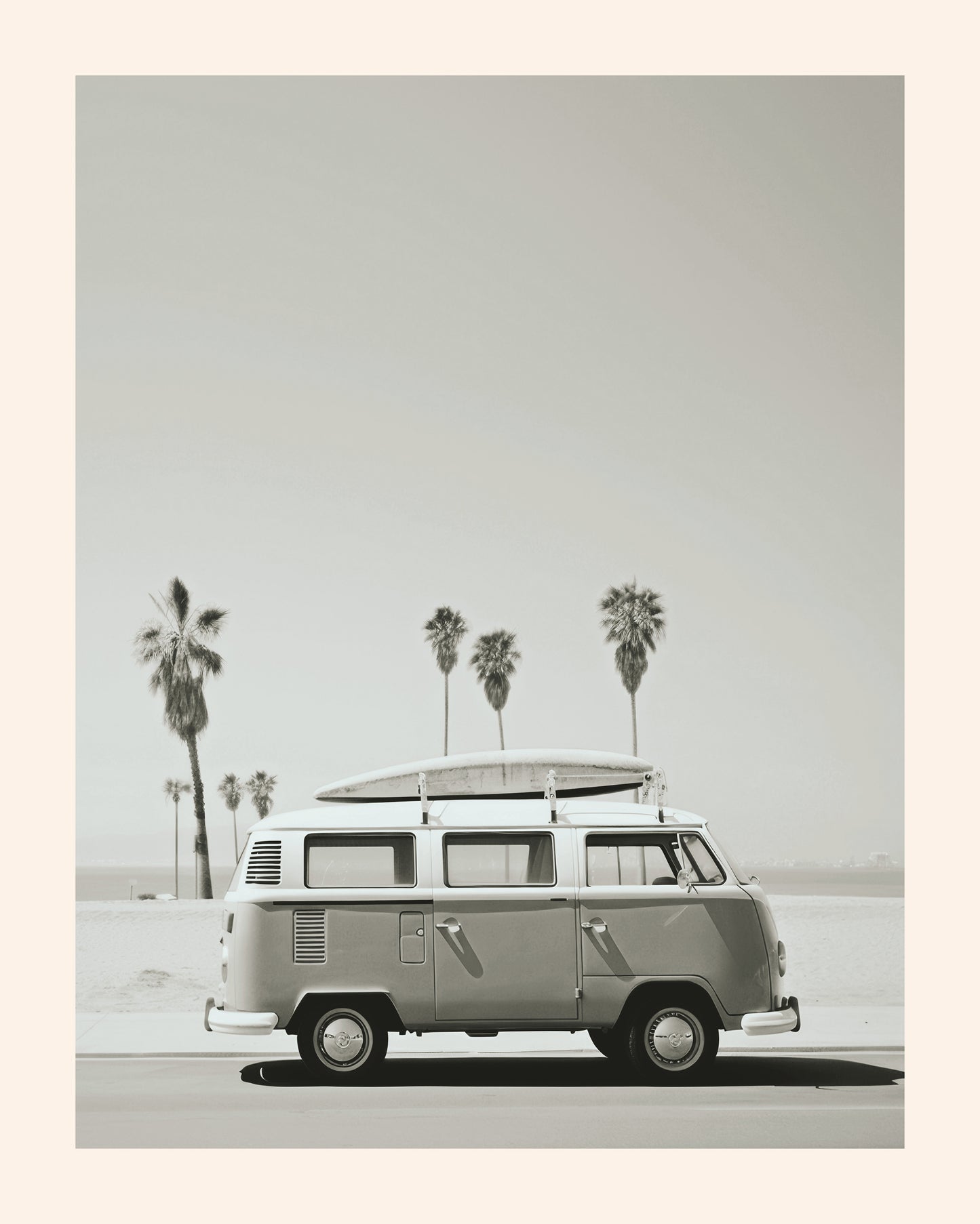 Coastal Road With Palm Trees