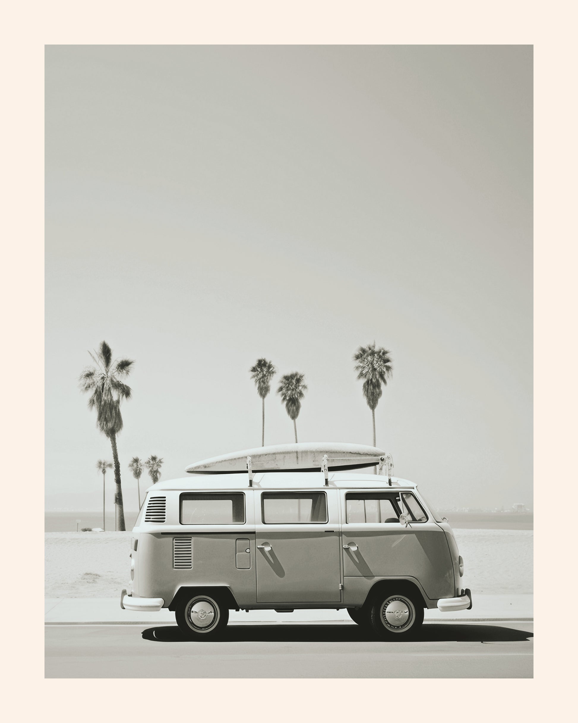 Coastal Road With Palm Trees