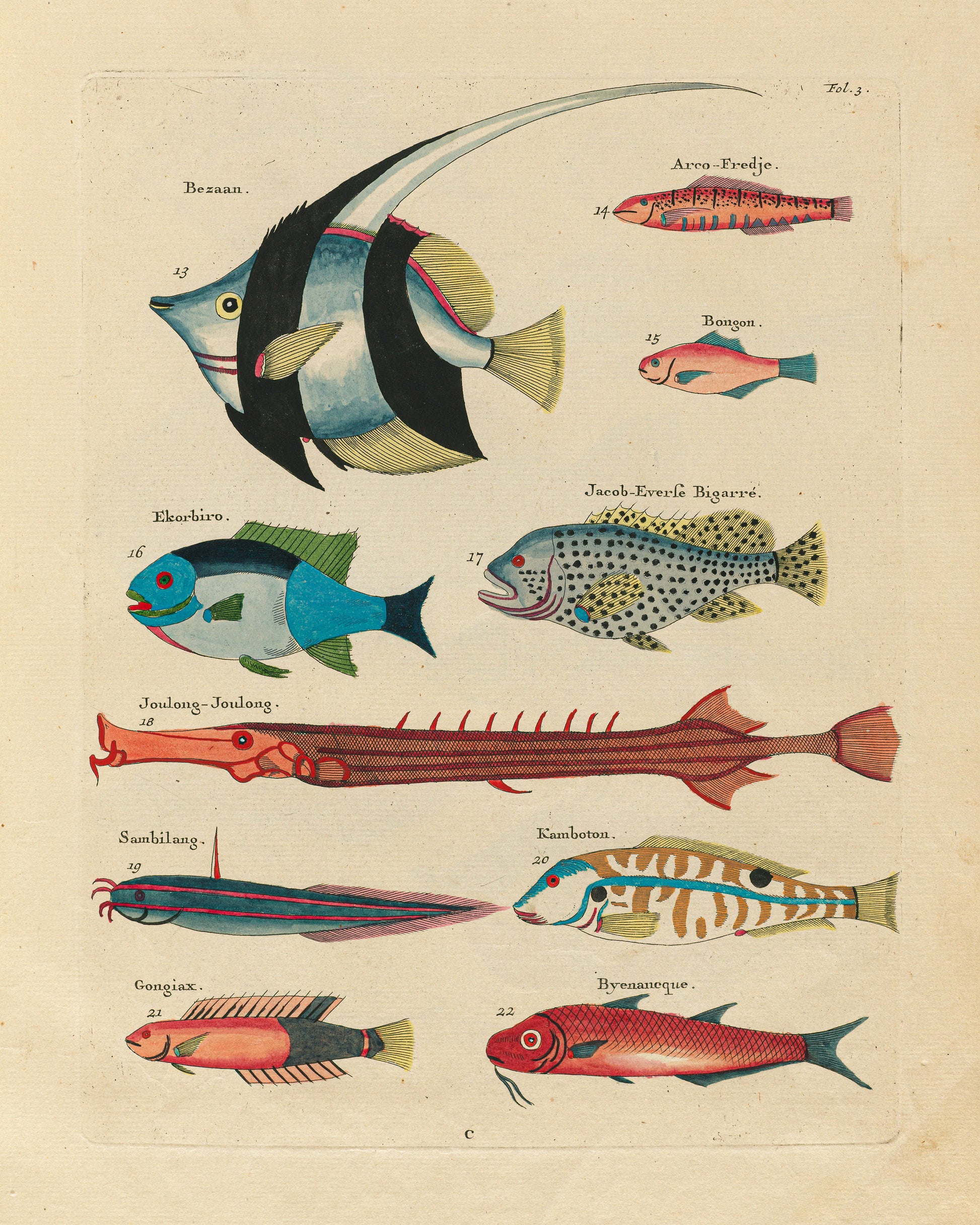 Fish Species