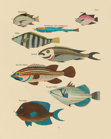 Fish Species NO3