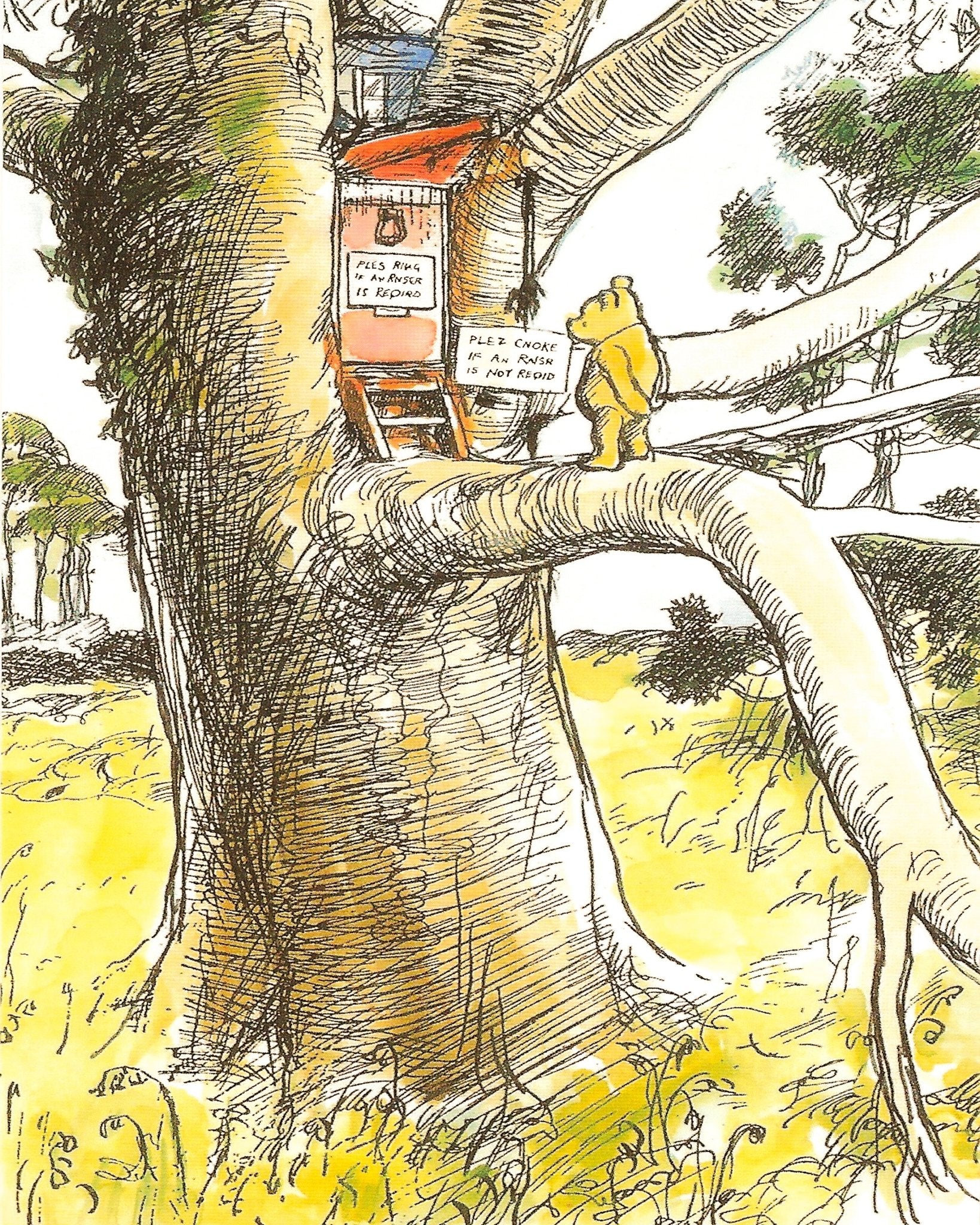 Visiting Owl's House