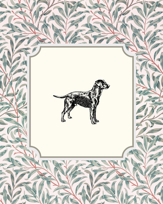 Labrador Retriever Sketch
