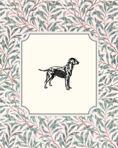 Labrador Retriever Sketch
