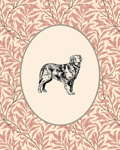 Golden Retriever Sketch NO2