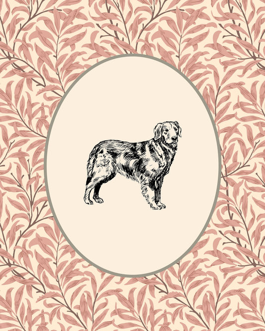 Golden Retriever Sketch NO2