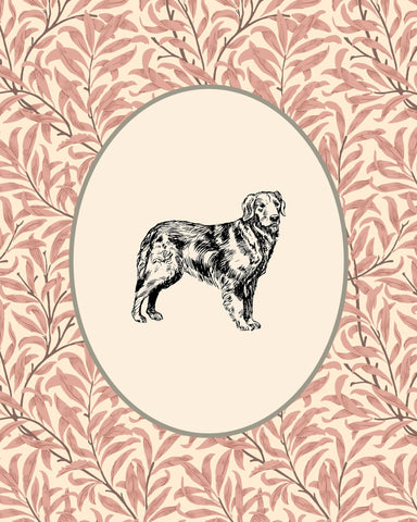 Golden Retriever Sketch NO2